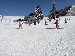 スキー個別 (1)